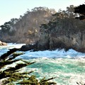 美國加州《卡梅爾》-最瑰麗的海陸交界點,迷離的山海經 羅伯斯角州立自然保護區(北岸)Point Lobos SNR (North Shore) - 1