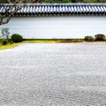 日本《京都》-「三門」裡的庭中庭院中院 南禅寺Nanzen-ji - 1