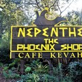 美國加州《Big Sur》-1號公路上的無敵海景,超過半個世紀的傳奇餐廳Nepenthe, Cafe Kevah - 1