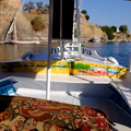 埃及《亞斯文》-輕舟悠遊尼羅河,尋訪島上的植物園 亞斯文植物園Aswan Botanical Garden - 1