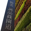 台灣《台中》-綠色叢林裡的綠建築 勤美誠品綠園道 - 1