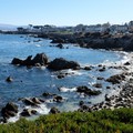 美國加州《Pacific Grove》-濱海絶美療癒步道Monterey Bay Coastal Recreation Trail,Shoreline Park - 1