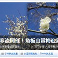 WWS／寒流催促花綻放 角板山賞梅迎新年
http://blog.udn.com/wei495051/10274578