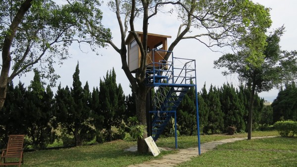 銅鑼鄉卡卡松法式餐廳在庭園打造樹屋，小孩很興趣。記者范榮達／攝影