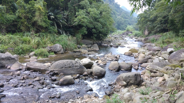 蓬萊溪自然生態園區護魚步道沿途溪水潺潺，花草樹竹間的清新空氣與陣陣涼風叫人心曠神怡