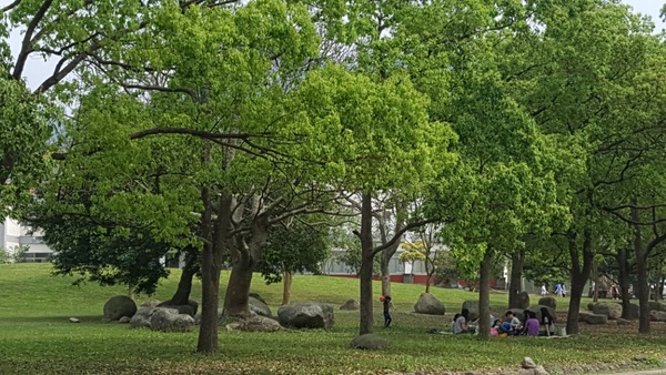 汶水遊客中心占地遼闊，擁有大片草皮和開放空間，還有生態景觀湖、野溪環境復育區、植物苗圃