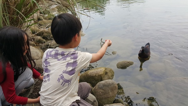 汶水遊客中心占地遼闊，擁有大片草皮和開放空間，還有生態景觀湖、野溪環境復育區、植物苗圃