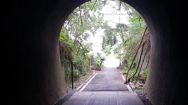 苗銅山線自行車道利用舊山線鐵路開闢，途中還穿越舊銅鑼隧道。記者胡蓬生／攝影