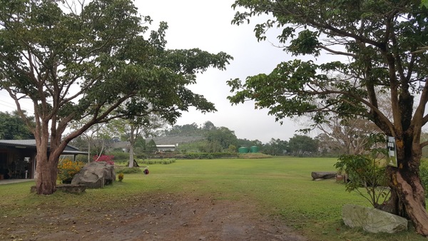 大湖鄉老官道農場占地近5甲，擁有廣闊的空間及大草原。記者胡蓬生／攝影