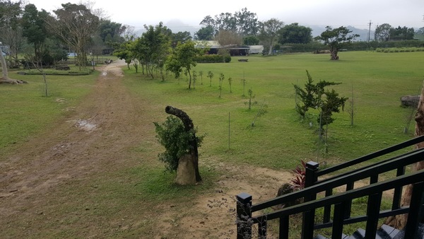 大湖鄉老官道農場占地近5甲，擁有廣闊的空間及大草原。記者胡蓬生／攝影