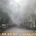 森林步道景觀造霧專業設計，主題式意象規劃設計 、台北、台中、高雄、
專業設計規劃施工╭☆ 0932~540789 ☆╮╭☆ 0800~202050 ☆╮蘇先生