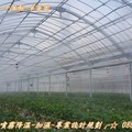 草莓園噴霧降溫消毒系統