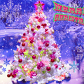 Merry Christmas & Happy 2013