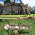 親子渡假的奇幻仙境－－長頸鹿莊園 Giraffe Manor - 1