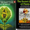 植物的生命奧秘 The Secret Life of Plants 2 - 1