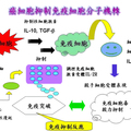 美國頂尖醫​​生談癌症 - 1