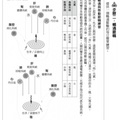 阿乙莎靈訊：活出靈魂的最高版本和未來世界的行動指南 5 - 10