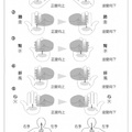 阿乙莎靈訊：活出靈魂的最高版本和未來世界的行動指南 5 - 11