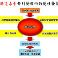 腸命百歲—腸道權威最新長齡保健大典 - 13