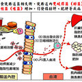 腸命百歲—腸道權威最新長齡保健大典 - 14