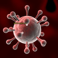 細胞營養與免疫力 - 2