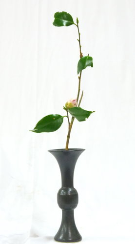 花型 生花一種生 Guopi02 的部落格 Udn部落格