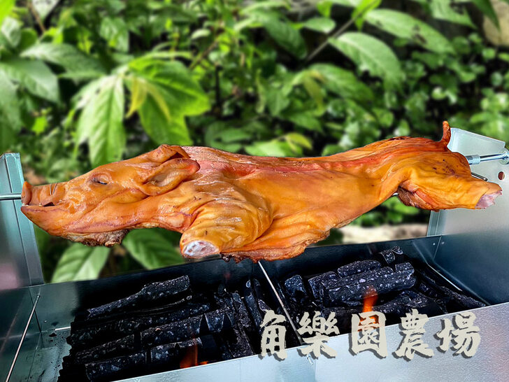 【桃園】外酥裡嫩專業烤小豬在角樂園！