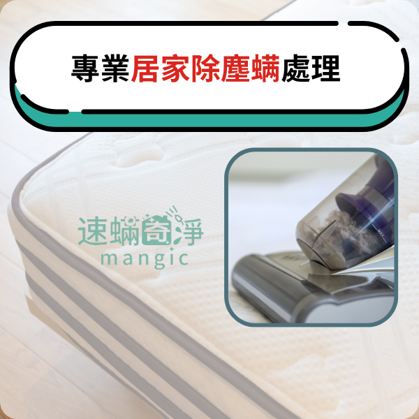 【新北】除塵螨推薦-梅雨季節到了，你知道塵螨喜歡潮濕的環境嗎