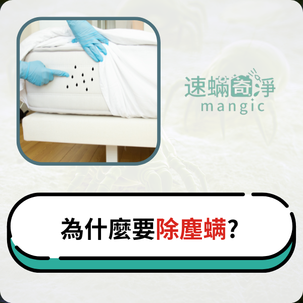 【台北|新北】除螨推薦-為什麼要除塵螨?