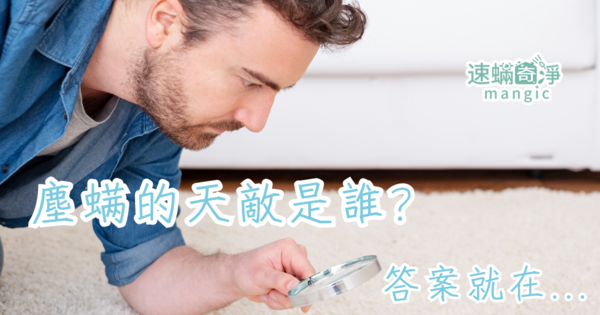 【新北】除螨推薦-想要完全清除塵蟎？只用這幾招絕對失敗…