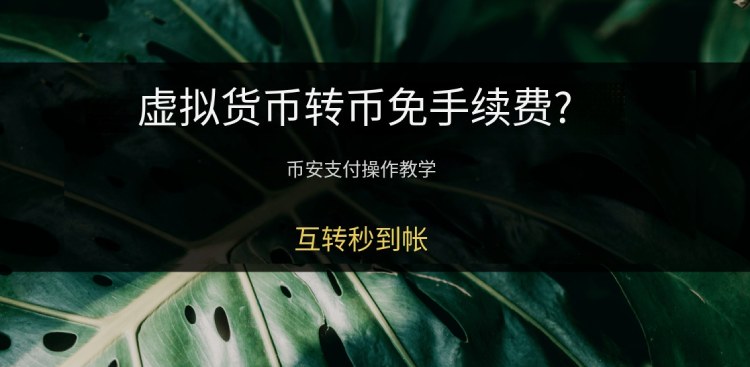 币安支付教学