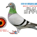 2011-107348新竹點將冬季綜合27位鴿照