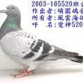 2003-105520超級202直子 愛神520
