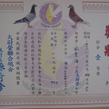 2006-70883新竹大尉營秋季綜合冠軍獎狀