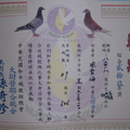 2007-82418新竹大尉營秋季綜合29位獎狀