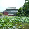 20090709台北市植物園 