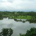 羅東運動公園