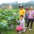 1020620雙溪十分嶺腳菁桐