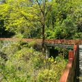 龍岩蓮花山環山步道