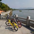 福建漳州自行車