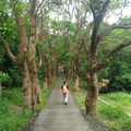 台山石花公園
