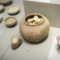 南京博物館西周陶罐與雞蛋