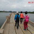 晉江安平橋