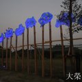 2020月津港燈節