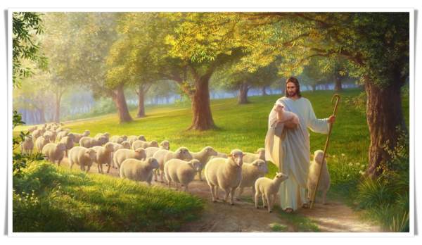 小羊緊跟主耶穌