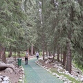 230824 新疆-恰西森林公園
