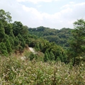 220814 鹿寮坑古道, 騎龍古道 & 金獅古道