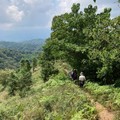 220814 鹿寮坑古道, 騎龍古道 & 金獅古道