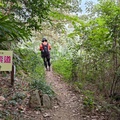 230924 大崎棟古道 & 關西赤柯山, 東獅頭山步道 