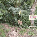 230924 大崎棟古道 & 關西赤柯山, 東獅頭山步道 